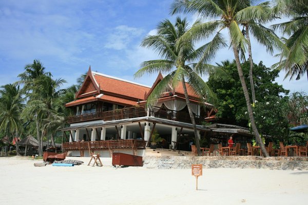 Quels sont les meilleurs spots pour la plongée en apnée avec les requins en Afrique du Sud : conseils et périodes ?